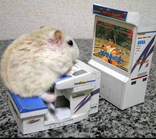 hamster+no+life